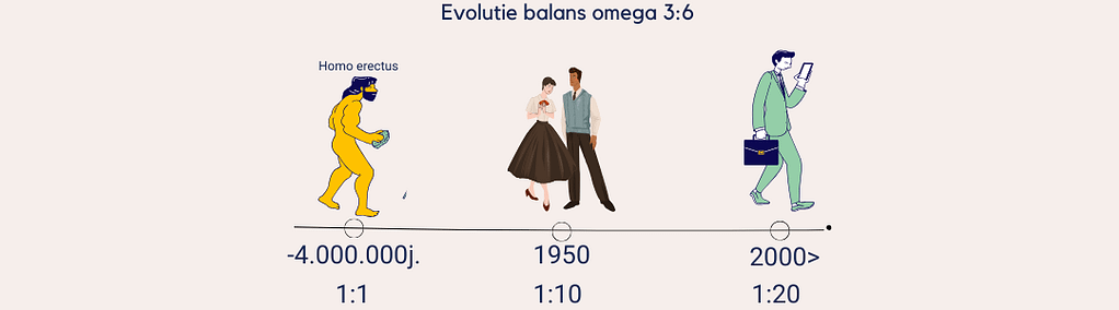Evolutie balans omega 3 en 6